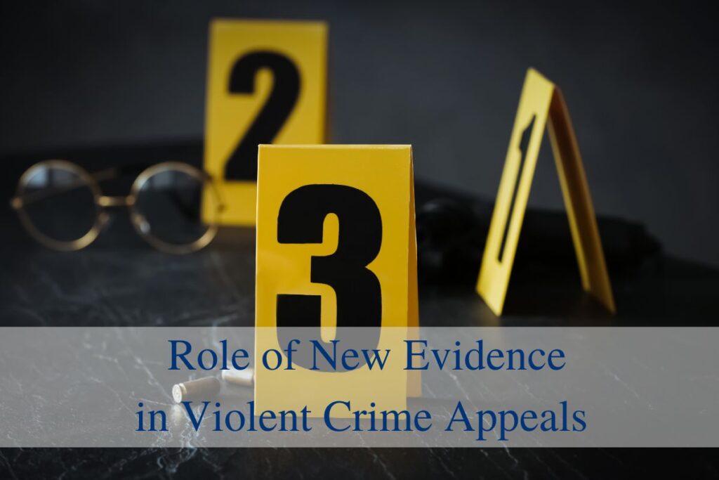 Role of New Evidence in Violent Crime Appeals Criminal Conviction