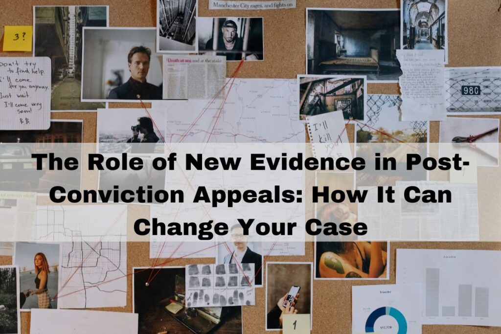 The Role of New Evidence in PostConviction Appeals How It Can Change(01)